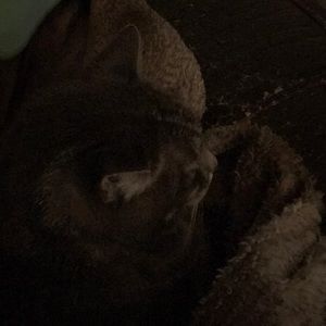 Meet your Posher, Tonya